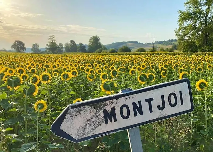 Le Bellevue A 82400 Tarn & Garonne * Montjoi