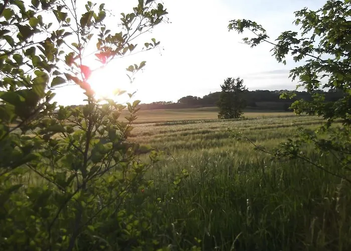 Le Bellevue A 82400 Tarn & Garonne Montjoi