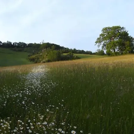 Le Bellevue A 82400 Tarn & Garonne 度假居 Montjoi