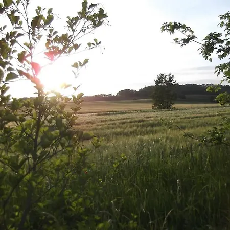 Le Bellevue A 82400 Tarn & Garonne Montjoi