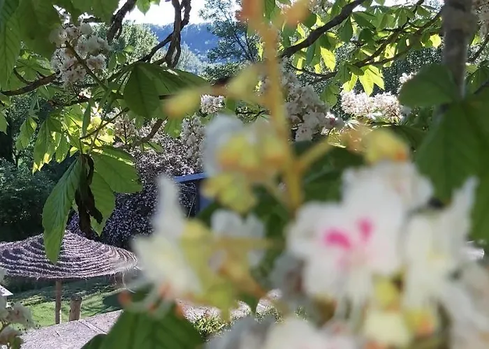 Le Bellevue A 82400 Tarn & Garonne 펜션 Montjoi