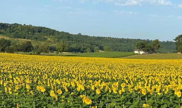 펜션 Le Bellevue A 82400 Tarn & Garonne